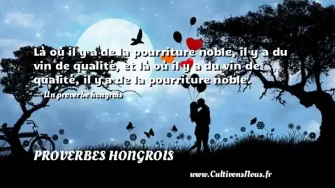Là où il y a de la pourriture noble, il y a du vin de qualité, et là où il y a du vin de qualité, il y a de la pourriture noble. - Un proverbe hongrois PROVERBES HONGROIS