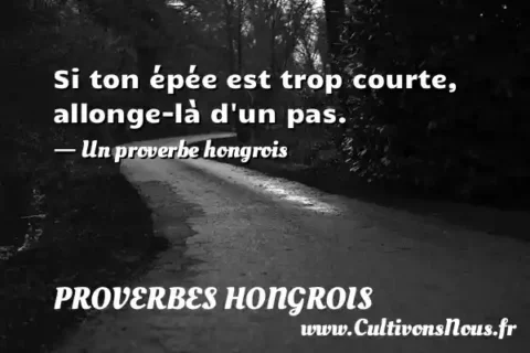 Si ton épée est trop courte, allonge-là d un pas. - Un proverbe hongrois PROVERBES HONGROIS