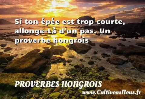 Si ton épée est trop courte, allonge-Là d un pas. Un proverbe hongrois PROVERBES HONGROIS