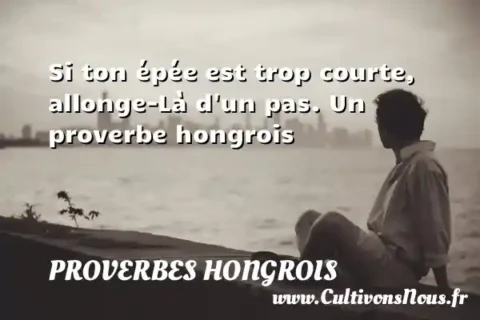 Si ton épée est trop courte, allonge-Là d un pas. Un proverbe hongrois PROVERBES HONGROIS