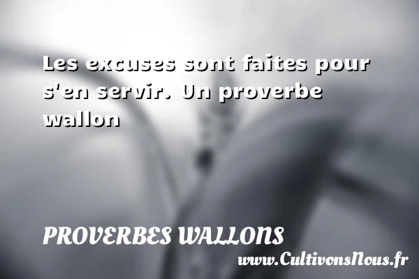 Les excuses sont faites pour s’en servir. - Proverbes wallons