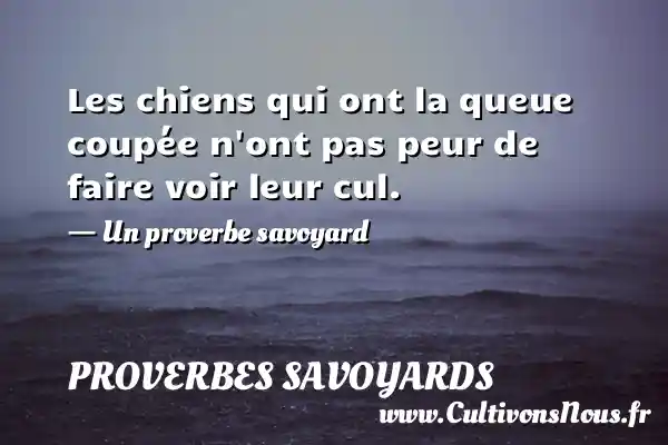 Les chiens qui ont la queue coupée n’ont pas peur de faire - Proverbes savoyards