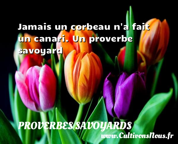 Jamais un corbeau n’a fait un canari. - Proverbes savoyards