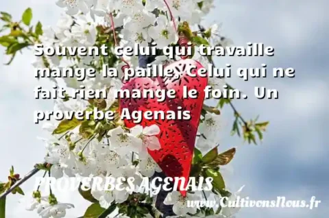 Souvent celui qui travaille mange la paille, Celui qui ne fait rien mange le foin. Un proverbe Agenais PROVERBES AGENAIS
