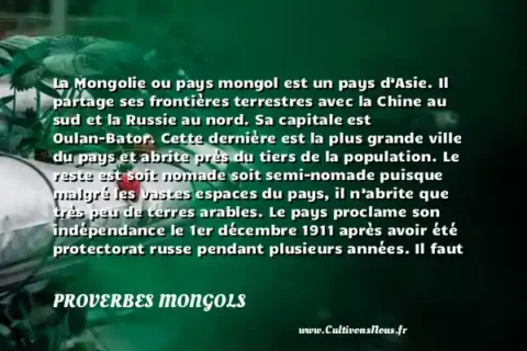 La Mongolie ou pays mongol est un pays d’Asie. Il partage ses frontières terrestres avec la Chine au sud et la Russie au nord. Sa capitale est Oulan-Bator. Cette dernière est la plus grande ville du pays et abrite près du tiers de la population. Le reste est soit nomade soit semi-nomade puisque malgré les vastes espaces du pays, il n’abrite que très peu de terres arables. Le pays proclame son indépendance le 1er décembre 1911 après avoir été protectorat russe pendant plusieurs années. Il faut dire qu’avant cette proclamation officielle, la Russie a déjà lâché prise puisqu’elle n’avait pas les ressources financières nécessaires pour s’occuper d’un si grand territoire. Lorsque la Mongolie devient autonome, elle fut divisée en deux pour donner naissance à la Mongolie intérieure qui est une région autonome chinoise et la Mongolie extérieure qui est aujourd’hui l’actuelle Mongolie. - Le drapeau de la Mongolie PROVERBES MONGOLS