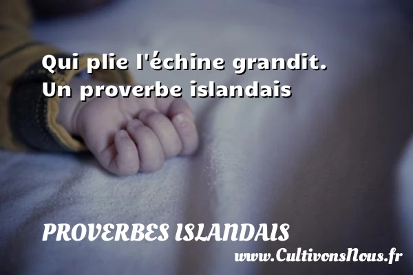 Qui plie l’échine grandit. - Proverbes islandais - Proverbes philosophiques