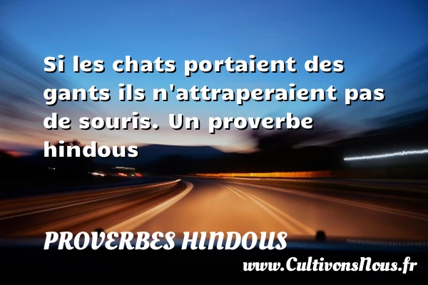 Si les chats portaient des gants ils n’attraperaient pas de - Proverbes hindous
