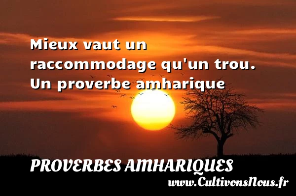 Mieux vaut un raccommodage qu’un trou. - Proverbes amhariques