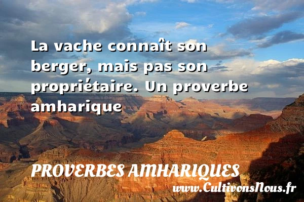 La vache conna&icirc;t son berger, mais pas son - Proverbes amhariques