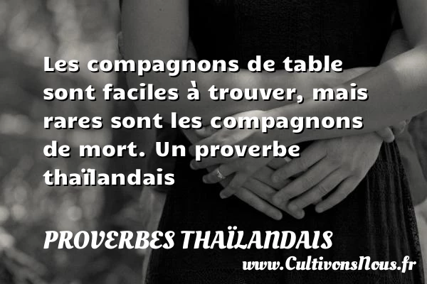 Les compagnons de table sont faciles à trouver, mais rares sont les - Proverbes thaïlandais