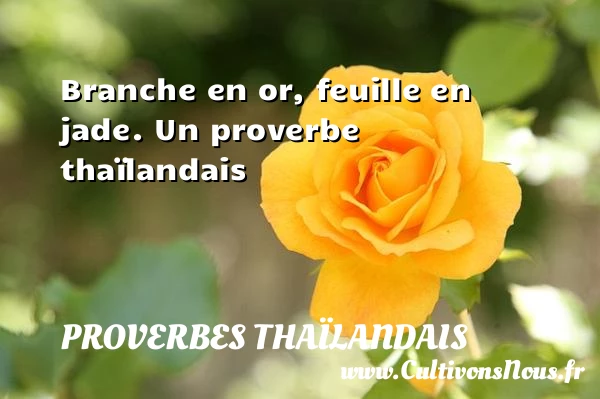 Branche en or, feuille en jade. - Proverbes thaïlandais