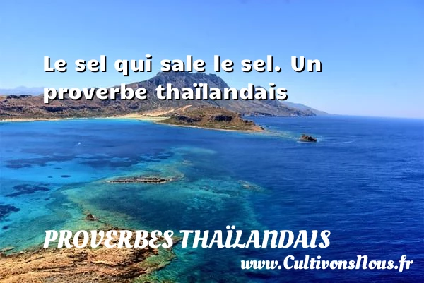 Le sel qui sale le sel. - Proverbes thaïlandais