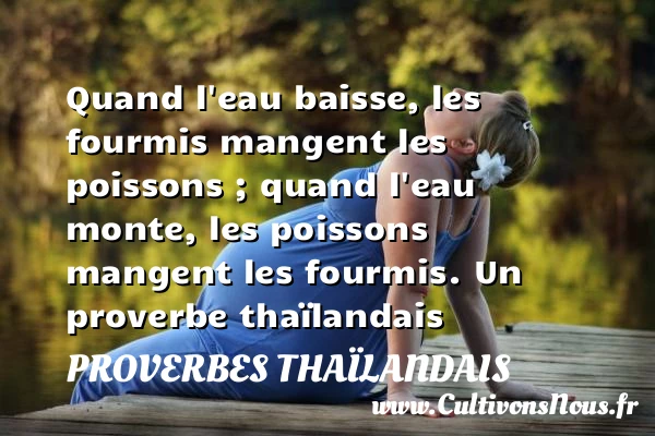 Quand l’eau baisse, les fourmis mangent les poissons ; quand l’eau - Proverbes thaïlandais