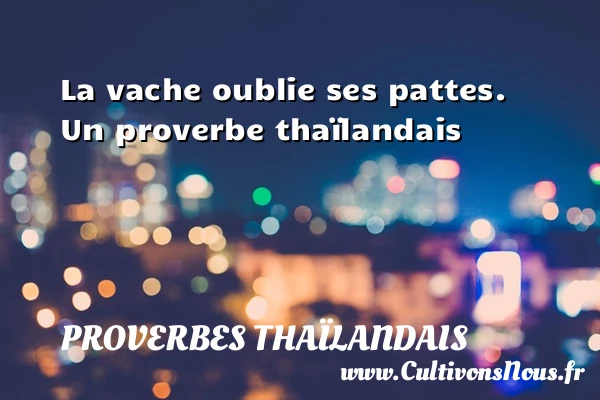 La vache oublie ses pattes. - Proverbes thaïlandais