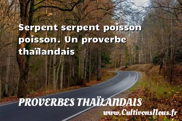 Serpent serpent poisson poisson. - Proverbes thaïlandais