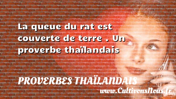 La queue du rat est couverte de terre - Proverbes thaïlandais