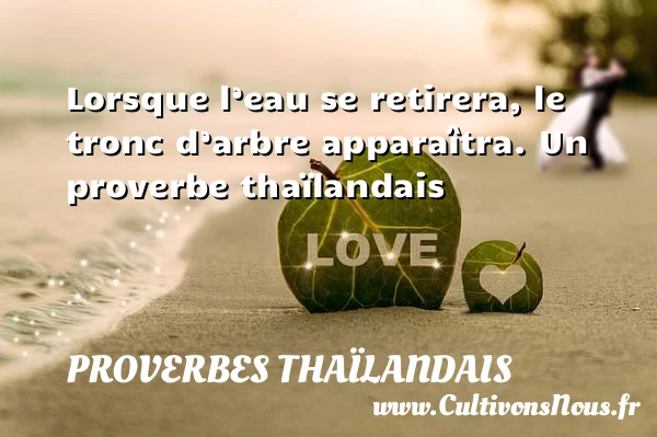 Lorsque l’eau se retirera, le tronc d’arbre apparaîtra. - Proverbes thaïlandais