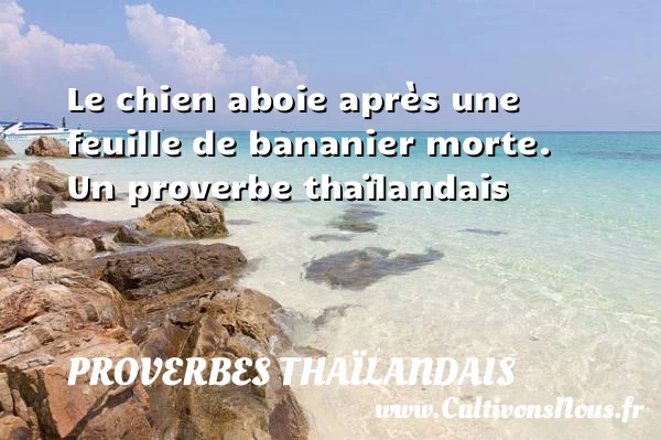 Le chien aboie après une feuille de bananier - Proverbes thaïlandais