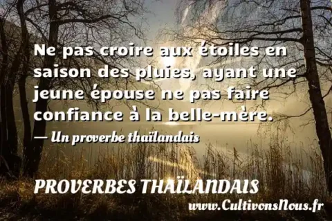 Ne pas croire aux étoiles en saison des pluies, ayant une jeune épouse ne pas faire confiance à la belle-mère. - Un proverbe thaïlandais PROVERBES THAÏLANDAIS