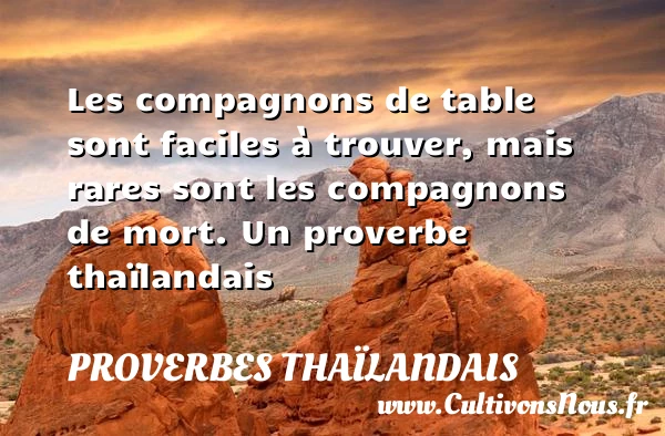 Les compagnons de table sont faciles à trouver, mais - Proverbes thaïlandais
