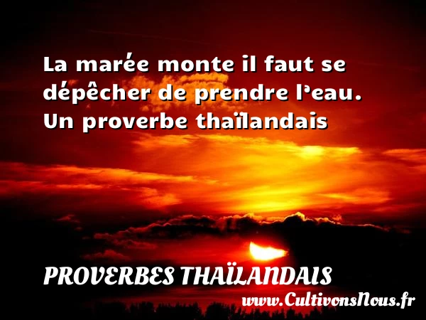 La marée monte il faut se dépêcher de prendre - Proverbes thaïlandais