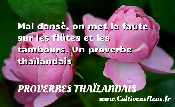 Mal dansé, on met la faute sur les - Proverbes thaïlandais