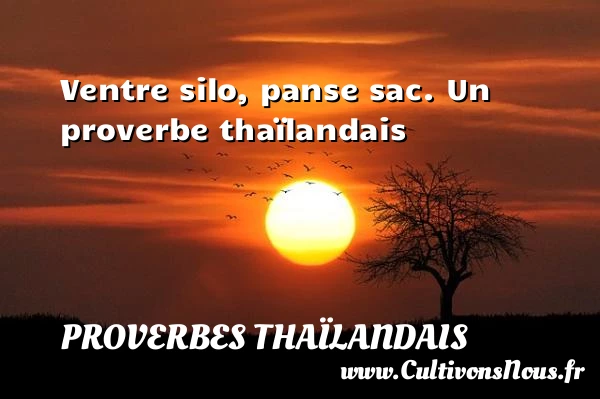 Ventre silo, panse sac. - Proverbes thaïlandais