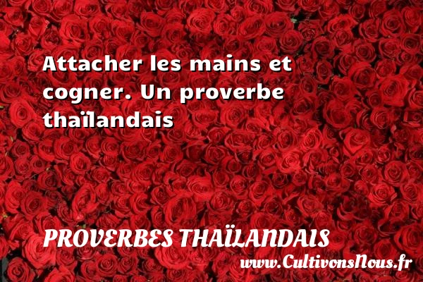Attacher les mains et cogner. - Proverbes thaïlandais