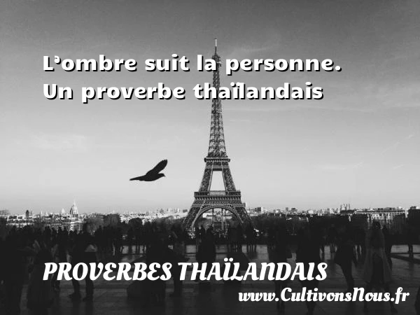 L’ombre suit la personne. - Proverbes thaïlandais