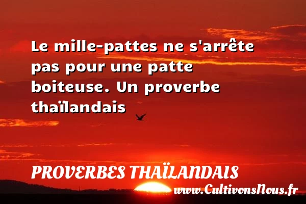 Le mille-pattes ne s’arrête pas pour une patte - Proverbes thaïlandais