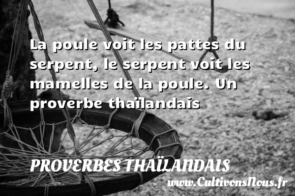 La poule voit les pattes du serpent, le - Proverbes thaïlandais
