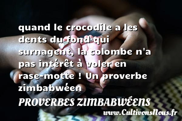 quand le crocodile a les dents du fond qui - Proverbes zimbabwéens - Proverbes fun