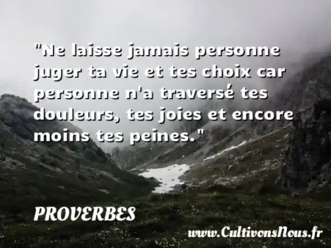 Ne laisse jamais personne juger ta vie et tes choix car personne n a traversé tes douleurs, tes joies et encore moins tes peines.  PROVERBES