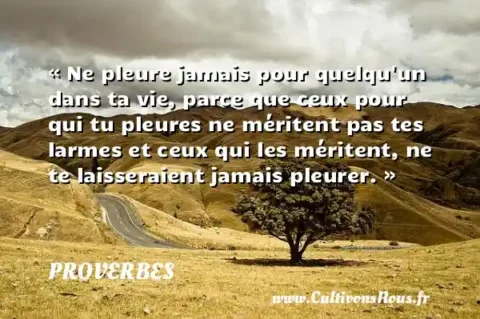 « Ne pleure jamais pour quelqu un dans ta vie, parce que ceux pour qui tu pleures ne méritent pas tes larmes et ceux qui les méritent, ne te laisseraient jamais pleurer. » PROVERBES