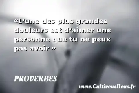 «L’une des plus grandes douleurs est d’aimer une personne que tu ne peux pas avoir » PROVERBES
