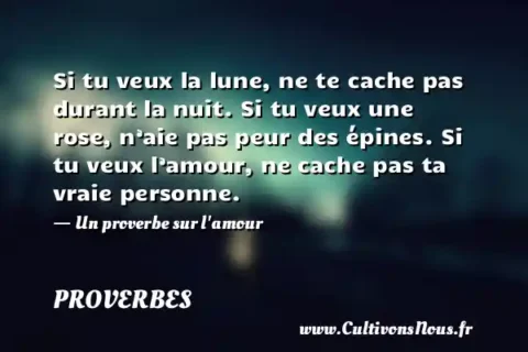 Si tu veux la lune, ne te cache pas durant la nuit. Si tu veux une rose, n’aie pas peur des épines. Si tu veux l’amour, ne cache pas ta vraie personne. - Un proverbe sur l amour PROVERBES