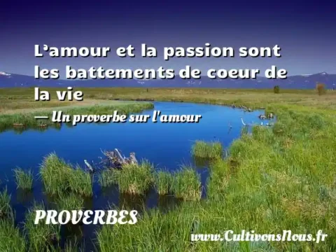 L’amour et la passion sont les battements de coeur de la vie - Un proverbe sur l amour PROVERBES