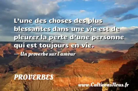 L’une des choses des plus blessantes dans une vie est de pleurer la perte d’une personne qui est toujours en vie. - Un proverbe sur l amour PROVERBES