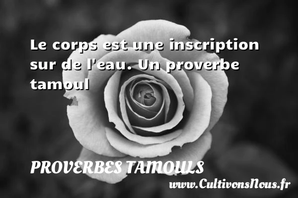 Le corps est une inscription sur de l’eau. - Proverbes tamouls