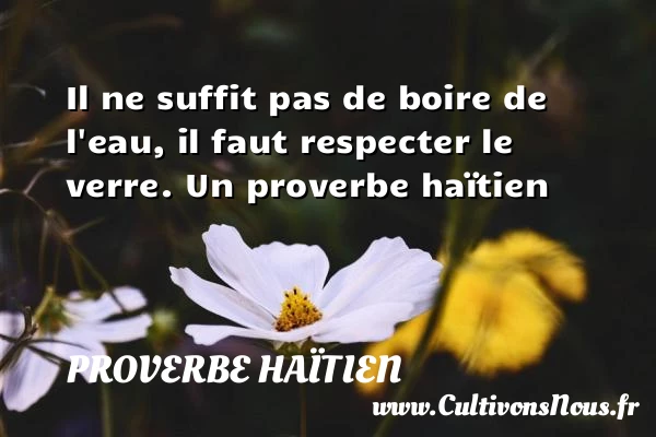 Il ne suffit pas de boire de l’eau, - Proverbe haïtien - Proverbe boire