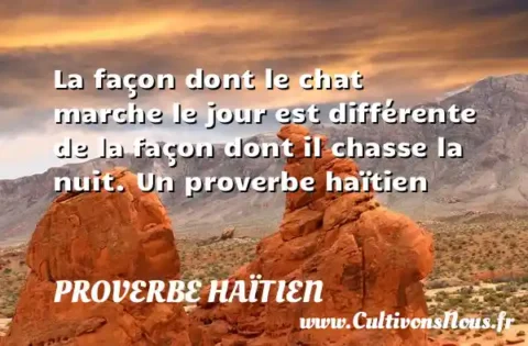 La façon dont le chat marche le jour est différente de la façon dont il chasse la nuit. Un proverbe haïtien PROVERBE HAÏTIEN