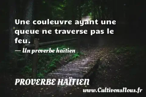 Une couleuvre ayant une queue ne traverse pas le feu. - Un proverbe haïtien PROVERBE HAÏTIEN