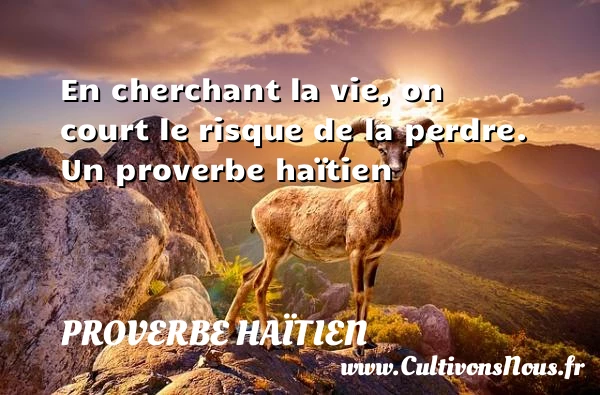 En cherchant la vie, on court le risque de la - Proverbe haïtien - Proverbe risque