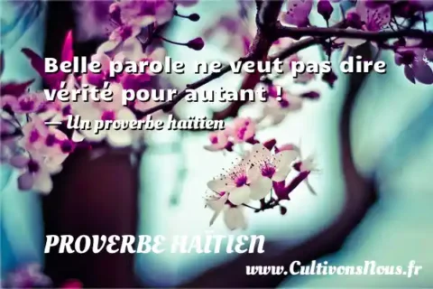 Belle parole ne veut pas dire vérité pour autant ! - Un proverbe haïtien PROVERBE HAÏTIEN