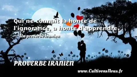 Qui ne connaît la honte de l ignorance, a honte d apprendre. - Un proverbe iranien PROVERBE IRANIEN