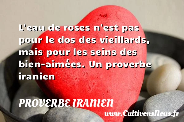 L’eau de roses n’est pas pour le dos des vieillards, mais pour - Proverbe iranien - Proverbe rose