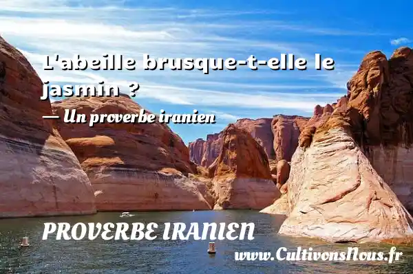 L abeille brusque-t-elle le jasmin ? - Un proverbe iranien PROVERBE IRANIEN