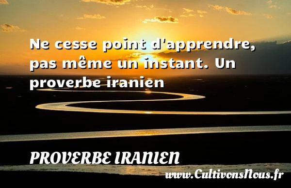 Ne cesse point d’apprendre, pas même un instant. - Proverbe iranien - Proverbe apprendre