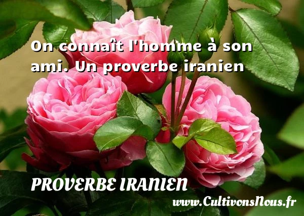 On connaît l’homme à son ami. - Proverbe iranien - Proverbes ami