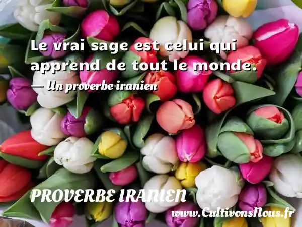 Le vrai sage est celui qui apprend de tout le monde. - Un proverbe iranien PROVERBE IRANIEN